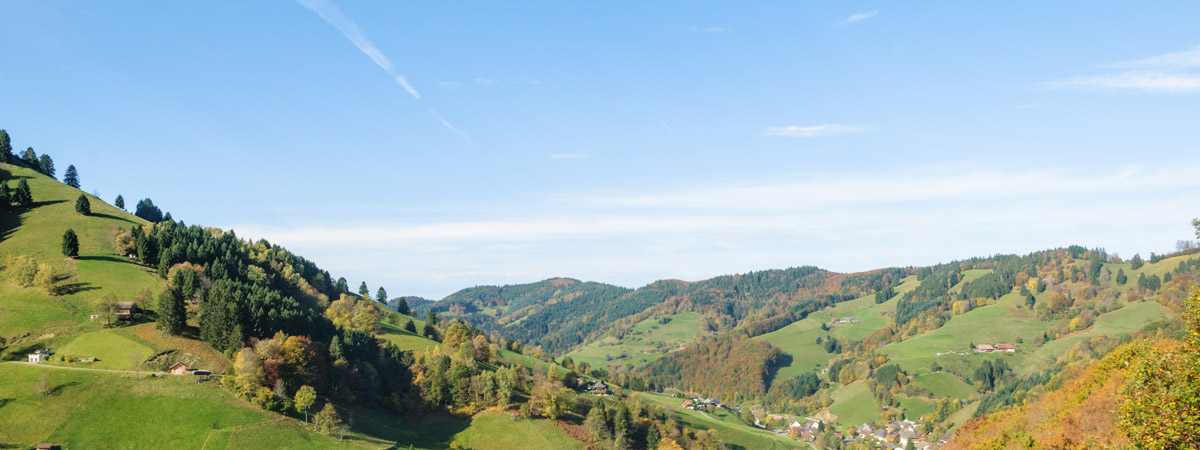 Blick auf Münstertal und Umgebung