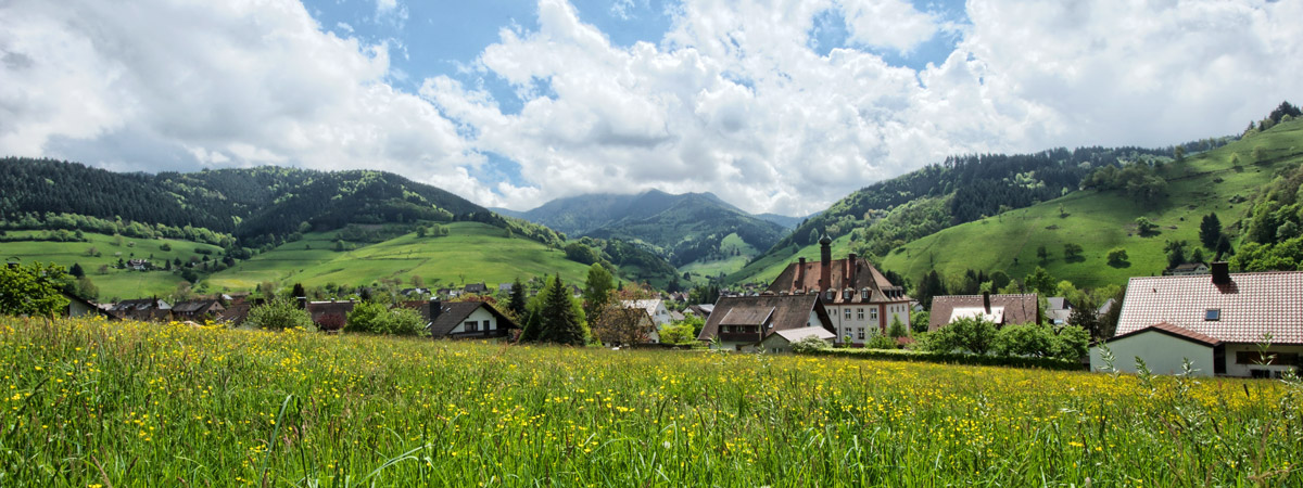 Blick auf St.Trudpert Kloster in Münstertal 