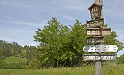 Gut ausgeschilderte Wanderwege im Wiesental