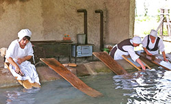 Freilichtmuseum Ecomusée im Elsaß