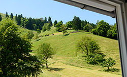 Aussicht von der Wohnung