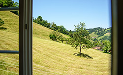 Aussicht aus dem Fenster